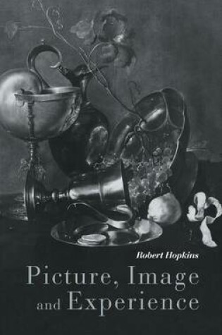 Cover of Picture, Image and Experience