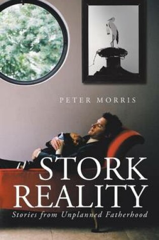 Cover of Stork Reality