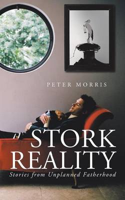 Book cover for Stork Reality