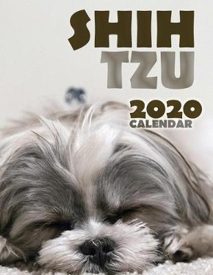 Book cover for Shih Tzu 2020 Calendar