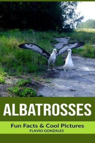Cover of Albatrosses