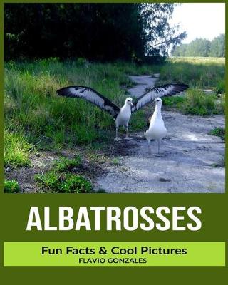 Book cover for Albatrosses