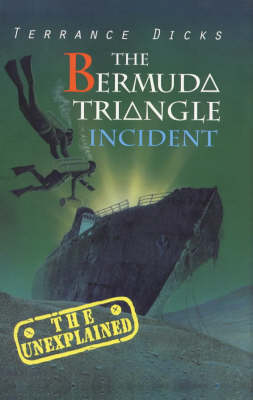 Book cover for The Bermuda Triangle Incident