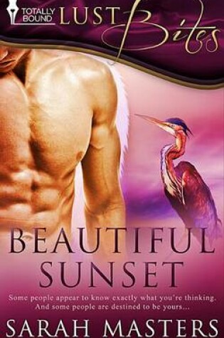 Cover of Beautiful Sunset
