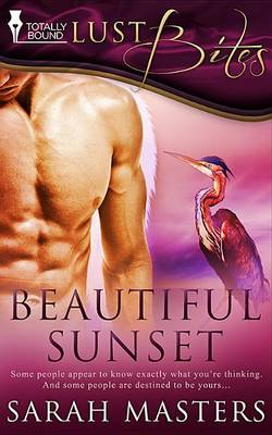 Book cover for Beautiful Sunset
