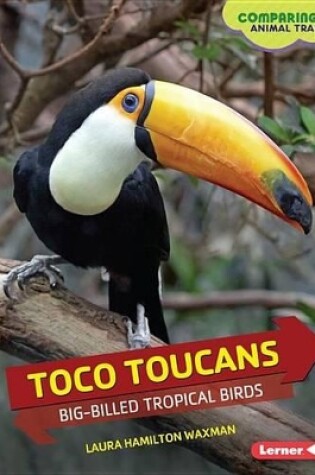 Cover of Toco Toucans