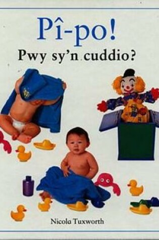 Cover of Pî-Po! Pwy Sy'n Cuddio?