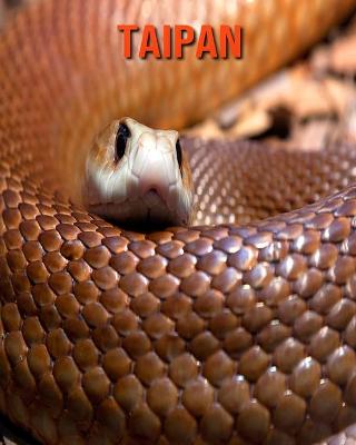 Book cover for Taipan