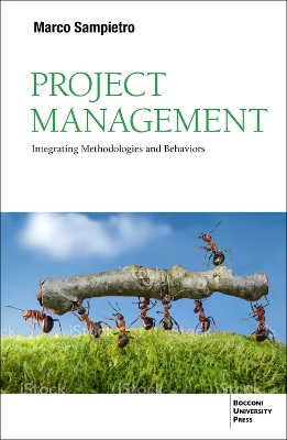 Book cover for Project Management