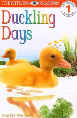Book cover for E/W READERS: DUCKLING DAYS - LEVEL 1 1st Edition - Paper