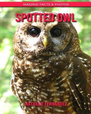 Book cover for Spotted Owl