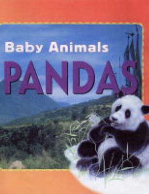 Book cover for Baby Animals:Pandas
