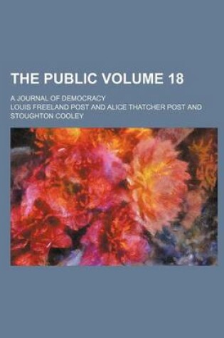 Cover of The Public; A Journal of Democracy Volume 18