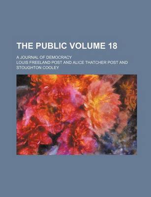 Book cover for The Public; A Journal of Democracy Volume 18