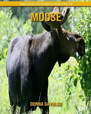 Book cover for Moose