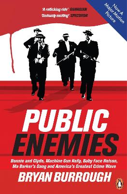 Book cover for Public Enemies [Film Tie-in]