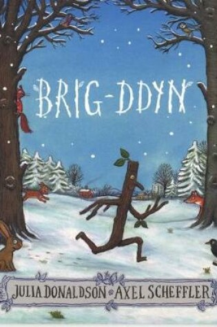 Cover of Brig-Ddyn