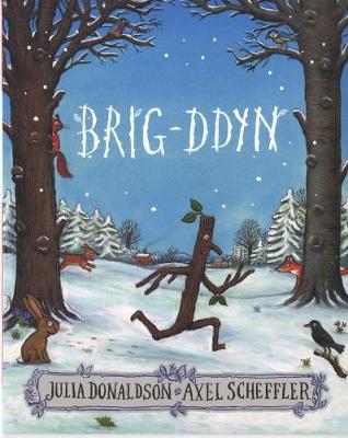 Book cover for Brig-Ddyn