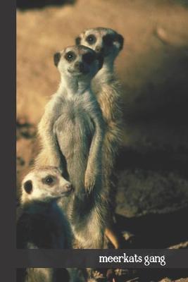 Book cover for Meerkats Gang