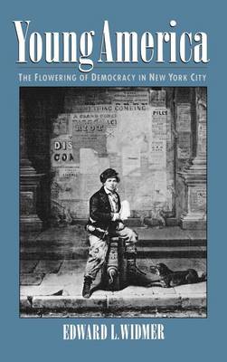 Book cover for Young America: The Flowering of Democracy in New York City