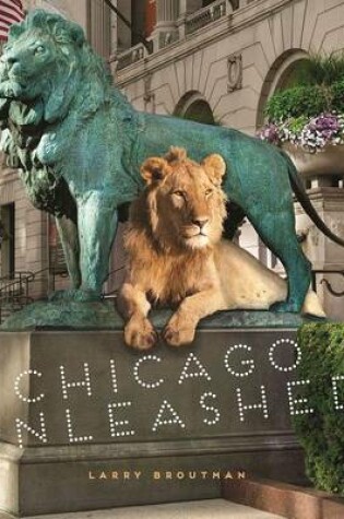 Cover of Chicago Unleashed