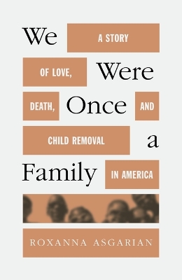 Book cover for We Were Once a Family
