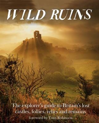 Book cover for Wild Ruins