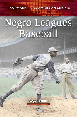 Book cover for Negro Leagues Baseball