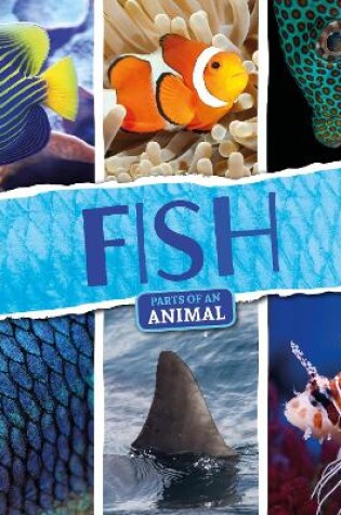 Cover of Fish