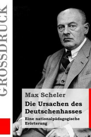 Cover of Die Ursachen des Deutschenhasses (Grossdruck)