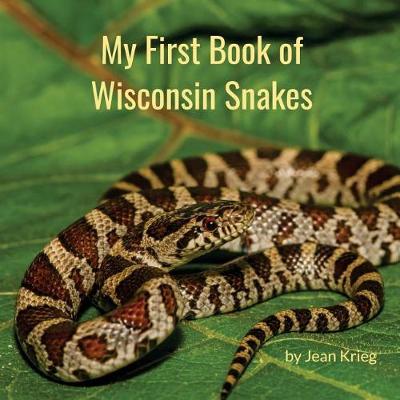 Book cover for My First Book of Wisconsin Snakes