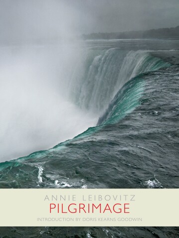 Book cover for Pilgrimage