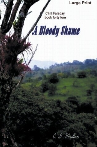 Cover of A Bloody Shame