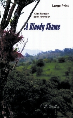Cover of A Bloody Shame