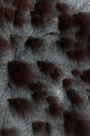 Cover of Starburst Pattern Terrain on Mars (for the Love of Space)