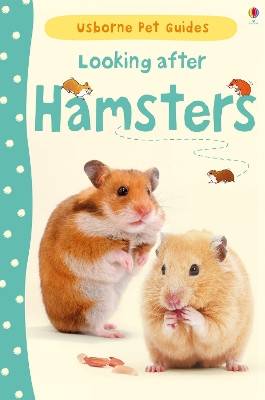 Book cover for Looking after Hamsters