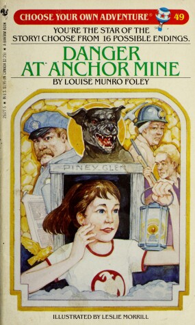 Book cover for Danger at Anchor Mine