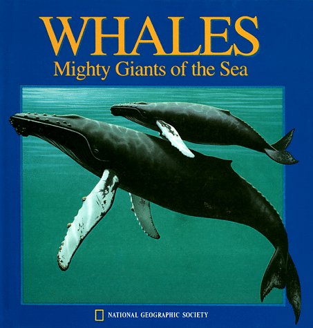 Book cover for Whales