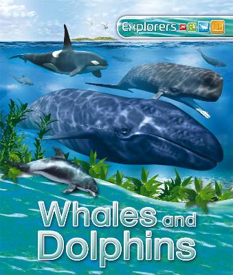 Book cover for Explorers: Whales and Dolphins