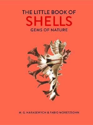 Book cover for The Little Book of Shells