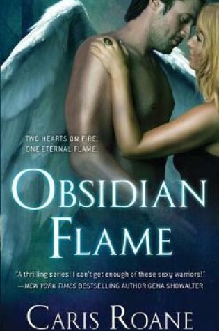Cover of Obsidian Flame