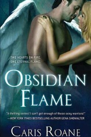 Cover of Obsidian Flame