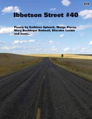 Book cover for Ibbetson Street #40