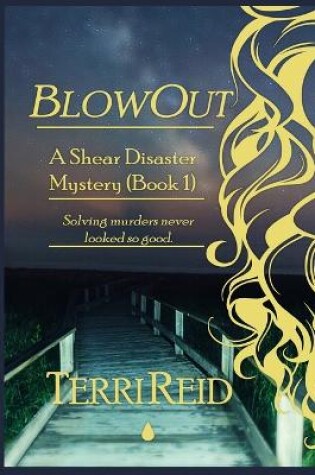 Cover of BlowOut