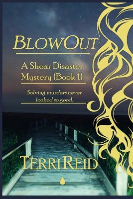 Cover of BlowOut