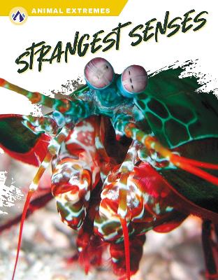 Book cover for Animal Extremes: Strangest Senses
