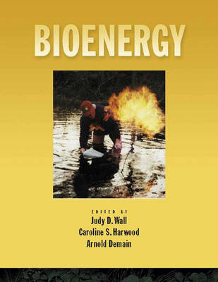 Book cover for Bioenergy