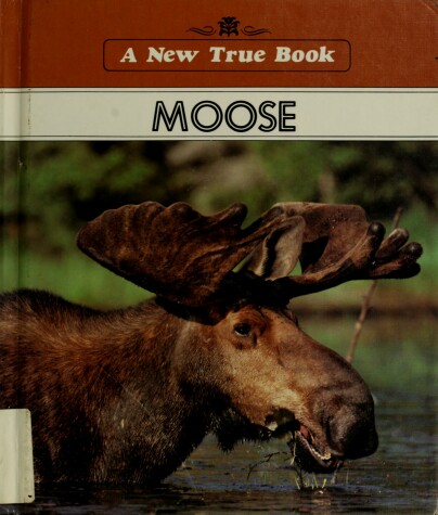 Book cover for Moose