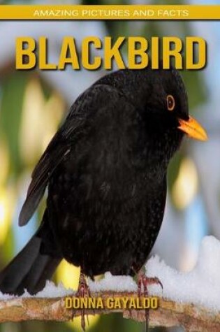 Cover of Blackbird