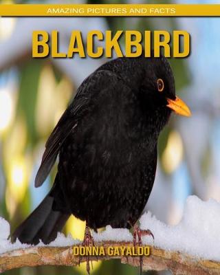 Book cover for Blackbird